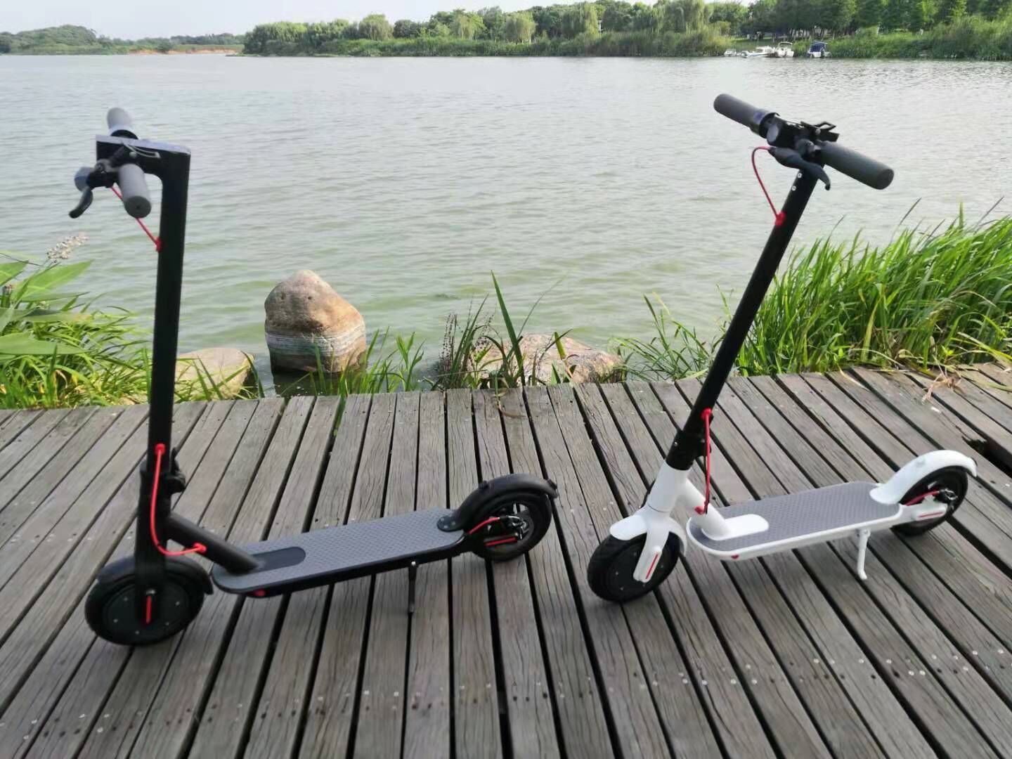 8.5 Inch Folding Aluminum Alloy Electric Scooter Home Decor Supply | Online Retail | ShoreShopper.com