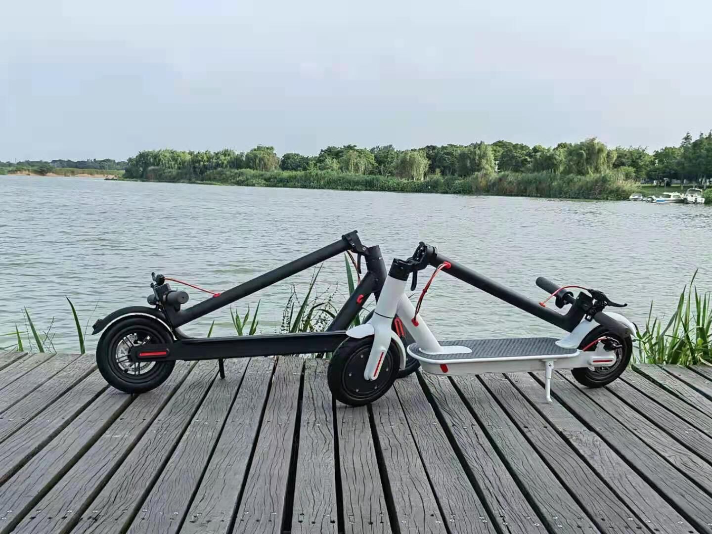 8.5 Inch Folding Aluminum Alloy Electric Scooter    Home Decor Supply | Online Retail | ShoreShopper.com