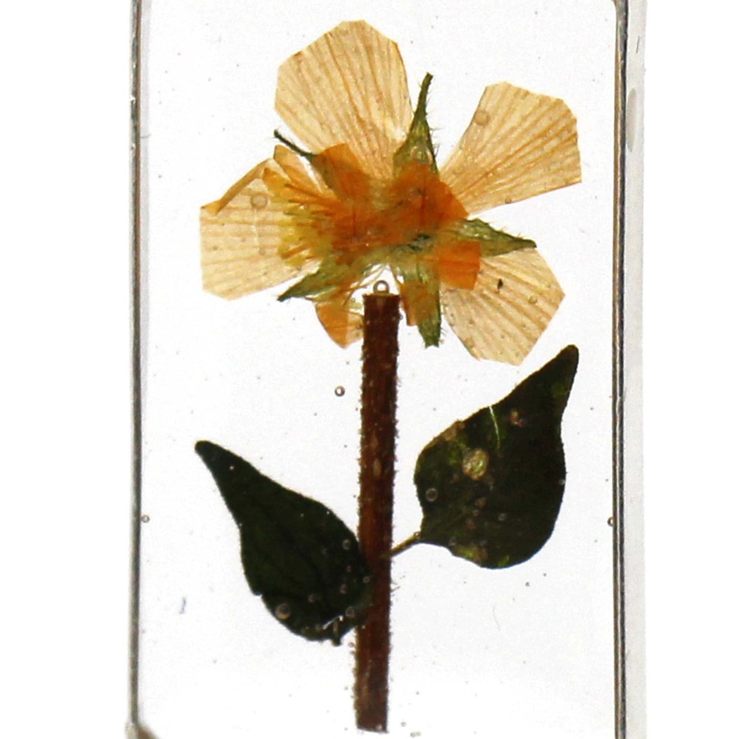 Pressed Yellow Flower Rectangle Dangle Earrings    Home Decor Supply | Online Retail | ShoreShopper.com