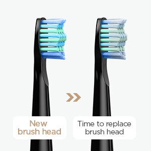 Fairywill Electric Sonic Toothbrush FW-507 USB Charge Rechargeable Adult Waterproof Electronic Tooth Brushes Replacement Heads s - ShoreCo.Shop