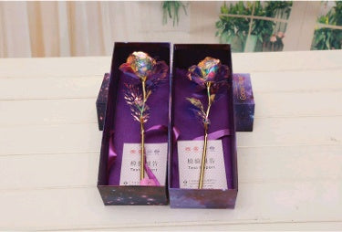 24K Luminous Color Gold Rose Flower Set - ShoreCo.Shop