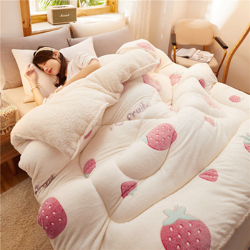 Winter Thick Quilt Dormitory Single Warm Lamb Velvet Double Quilt Core    Home Decor Supply | Online Retail | ShoreShopper.com