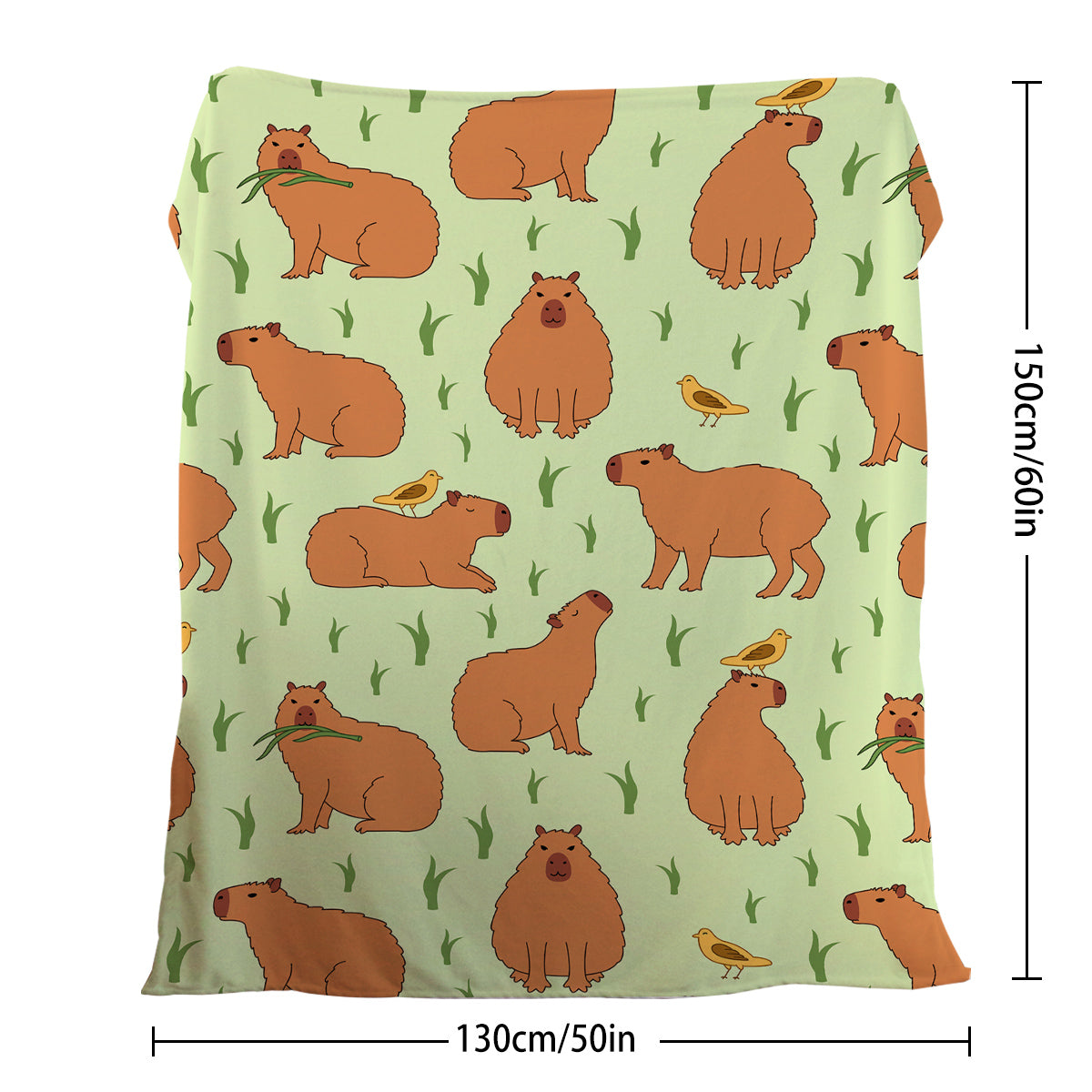 1 Pce Of Flannel Bird And Capybara Combined Pattern Soft And Fluffy Multifunctional Outdoor Beach Camping Living Room Sofa Office Nap Printed Blanket    Home Decor Supply | Online Retail | ShoreShopper.com