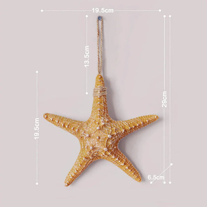 Conch Starfish Beach Decor Nautical Home Bedroom Living Room Hanging Vase Creative Background Wall Decoration Seashells    Your Coastal Marketplace | Shoreshopper.com