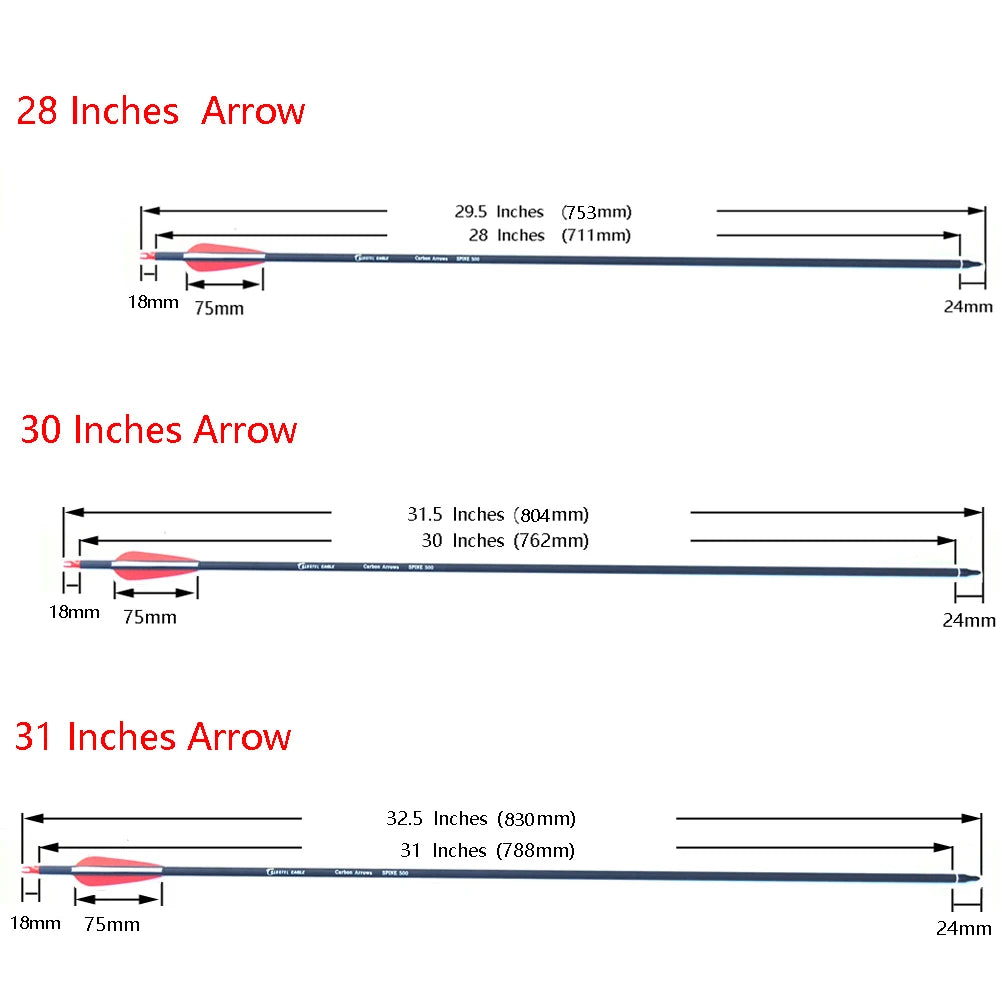 New Spine 500 Carbon Arrow With Replaceable Arrowhead 28"/30"/31"Length Archery for Compound/Recurve Bow Hunting - ShoreCo.Shop