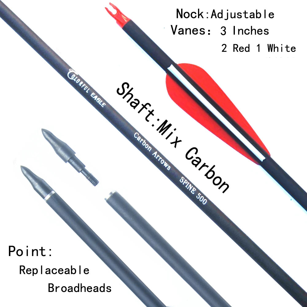 New Spine 500 Carbon Arrow With Replaceable Arrowhead 28"/30"/31"Length Archery for Compound/Recurve Bow Hunting - ShoreCo.Shop
