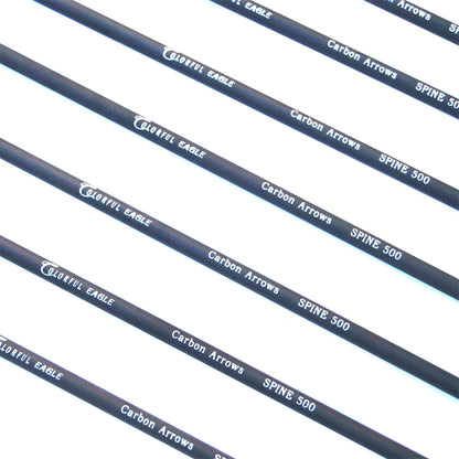 New Spine 500 Carbon Arrow With Replaceable Arrowhead 28"/30"/31"Length Archery for Compound/Recurve Bow Hunting - ShoreCo.Shop