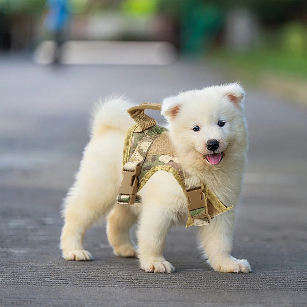 Tactical Cat Harness Adjustable Puppy Vest For Military Small Dogs Harnesses withControl Handle Walking Training Cat Accessories    Home Decor Supply | Online Retail | ShoreShopper.com