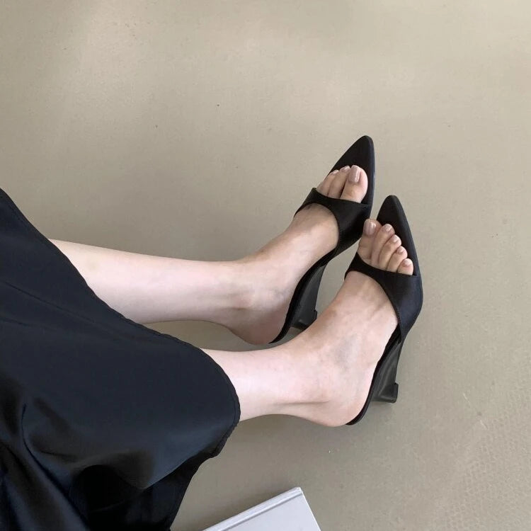 Women's Slippers Fashion 2026 Summer Elegant High Heels Outdoor Banquet Wedge Heel Pointed Toe Girls Women's Shoes 2018    Your Coastal Marketplace | Shoreshopper.com