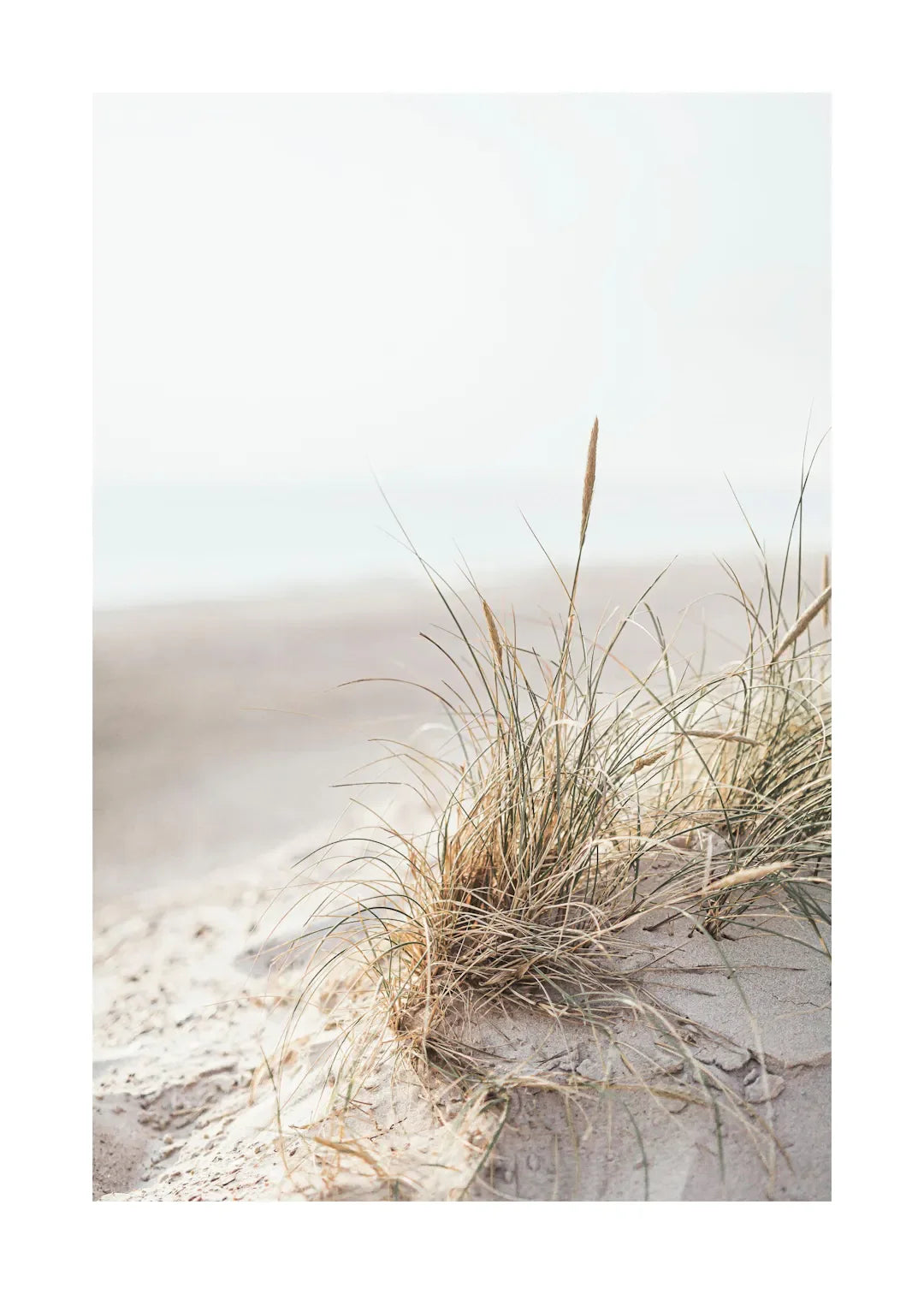 Tropical Blue Sea White Sand Beach Conch Lighthouse Wall Art Home Decoration Nordic Posters And Prints Canvas Painting Picture    Your Coastal Marketplace | Shoreshopper.com