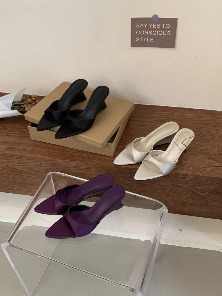 Women's Slippers Fashion 2026 Summer Elegant High Heels Outdoor Banquet Wedge Heel Pointed Toe Girls Women's Shoes 2018    Your Coastal Marketplace | Shoreshopper.com