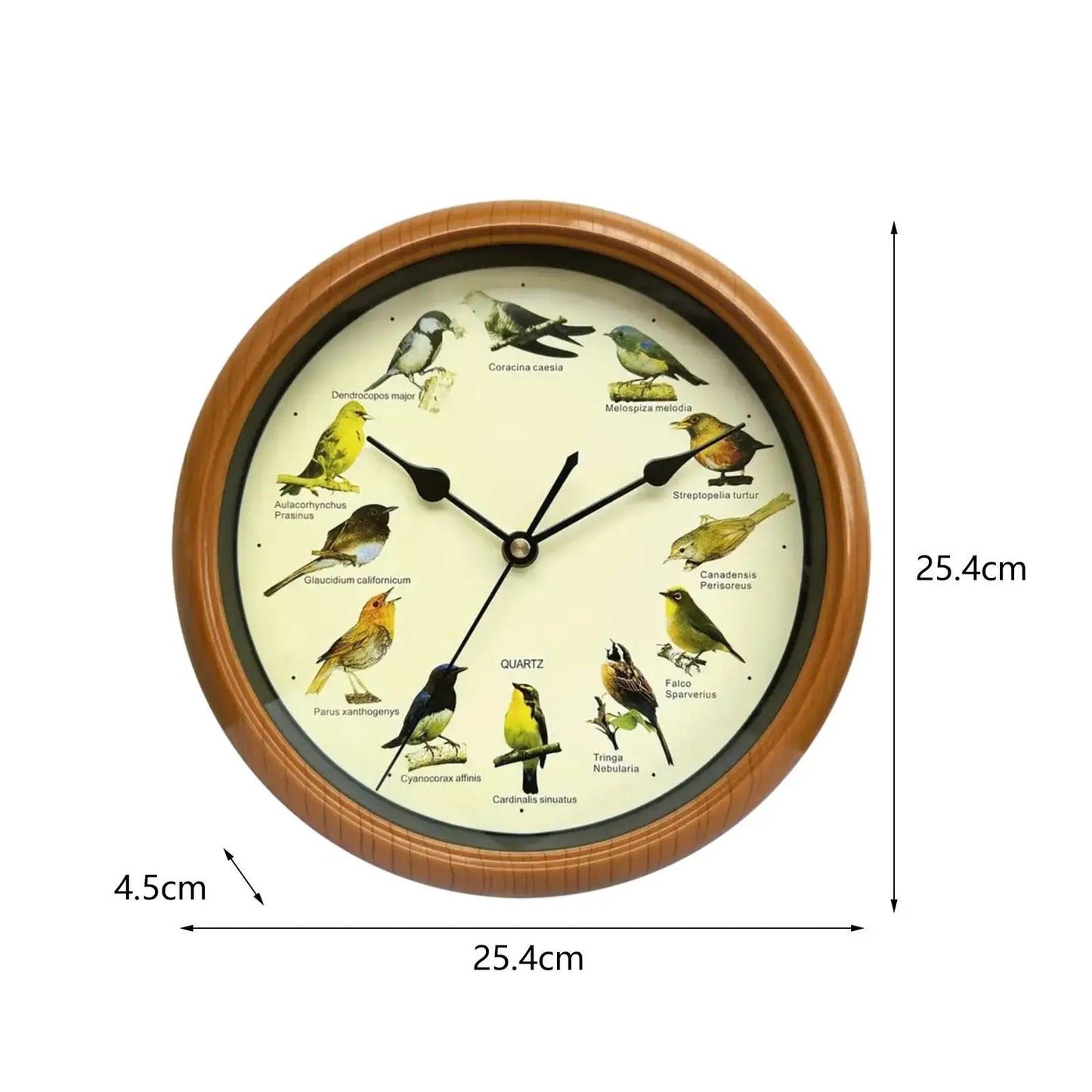 Wall Hanging Clock Decor Singing Bird Wall Clock Bird Clock With Sound Hanging Clock Decor for Kitchen Walls Shelf Decoration    Home Decor Supply | Online Retail | ShoreShopper.com