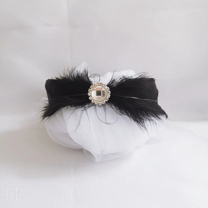 2024 New Swan Lake Headwear  Feather ballet costume accessories Headwear    Your Coastal Marketplace | Shoreshopper.com