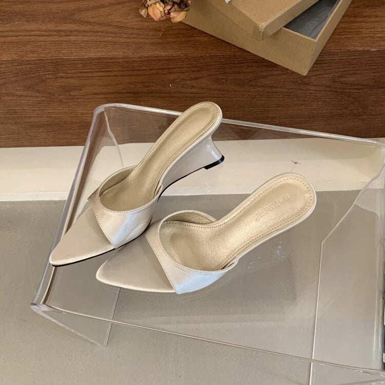 Women's Slippers Fashion 2026 Summer Elegant High Heels Outdoor Banquet Wedge Heel Pointed Toe Girls Women's Shoes 2018    Your Coastal Marketplace | Shoreshopper.com