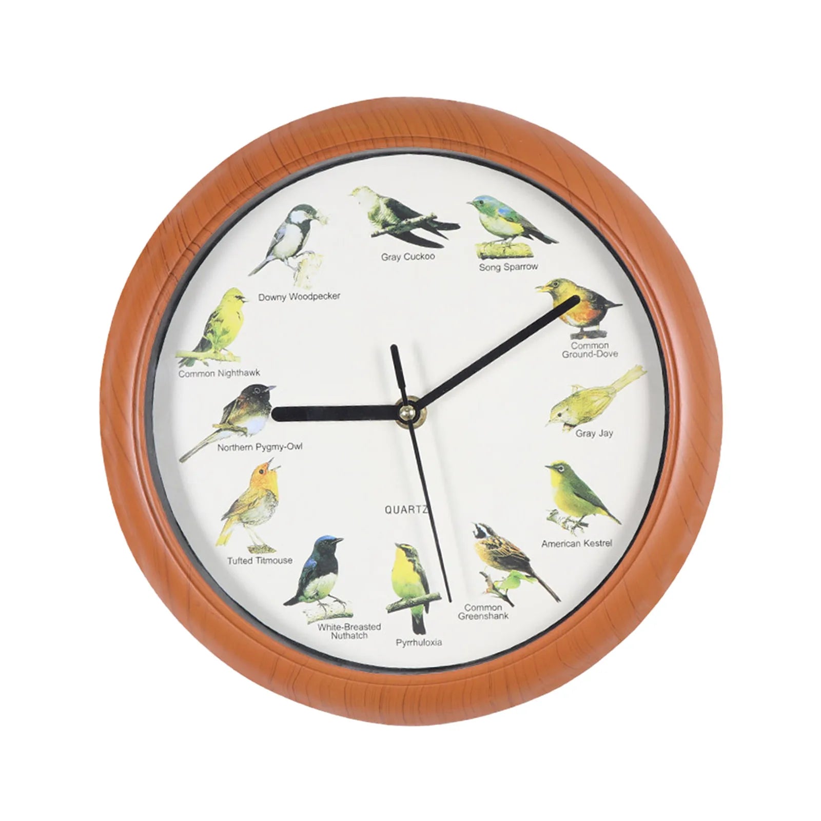 Wall Hanging Clock Decor Singing Bird Wall Clock Bird Clock With Sound Hanging Clock Decor for Kitchen Walls Shelf Decoration    Home Decor Supply | Online Retail | ShoreShopper.com