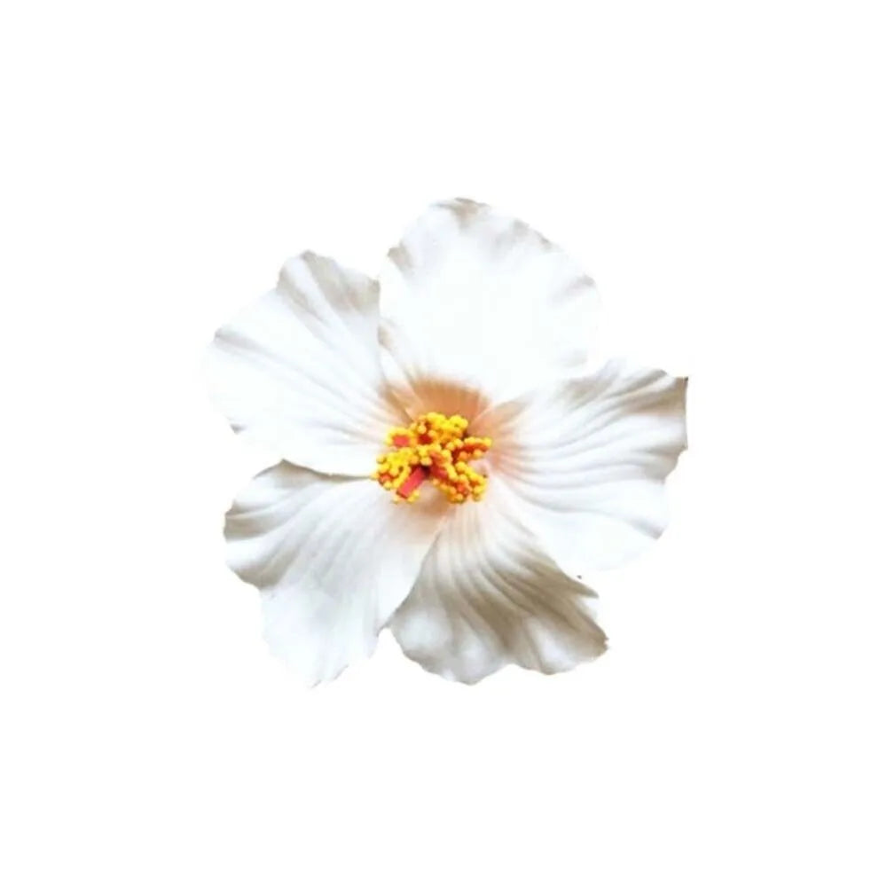 Headwear Hawaiian Flower Hair Clips Side Bangs Clip Hair Accessories Artificial Flower Clips Suitable Vacation Beach Parties    Your Coastal Marketplace | Shoreshopper.com