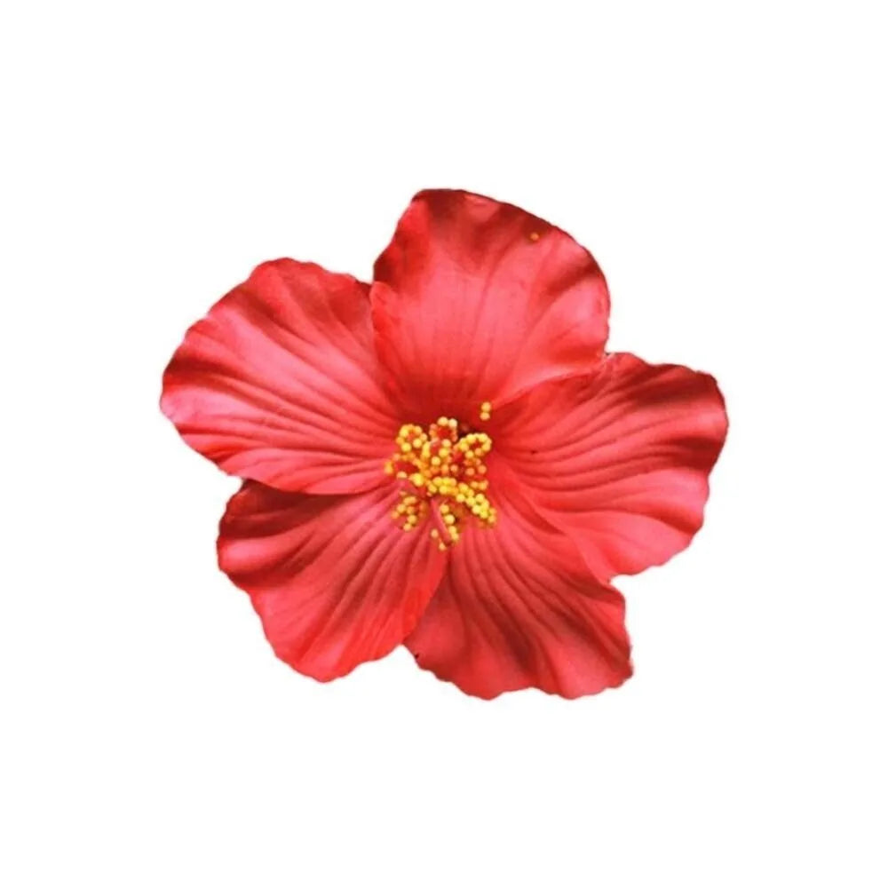 Headwear Hawaiian Flower Hair Clips Side Bangs Clip Hair Accessories Artificial Flower Clips Suitable Vacation Beach Parties    Your Coastal Marketplace | Shoreshopper.com