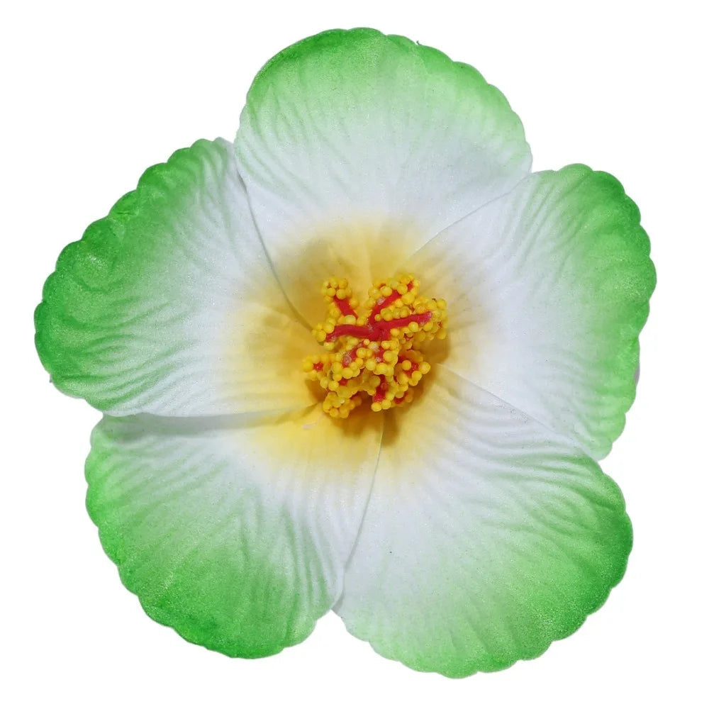 Headwear Hawaiian Flower Hair Clips Side Bangs Clip Hair Accessories Artificial Flower Clips Suitable Vacation Beach Parties    Your Coastal Marketplace | Shoreshopper.com