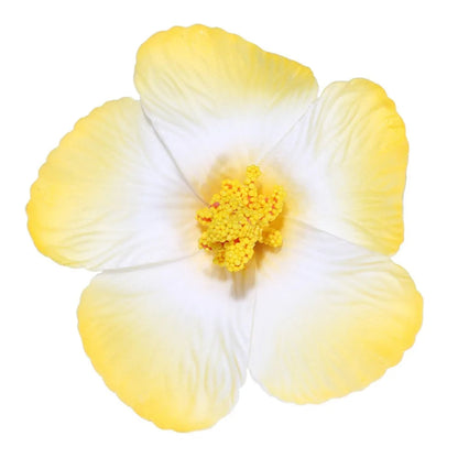 Headwear Hawaiian Flower Hair Clips Side Bangs Clip Hair Accessories Artificial Flower Clips Suitable Vacation Beach Parties    Your Coastal Marketplace | Shoreshopper.com