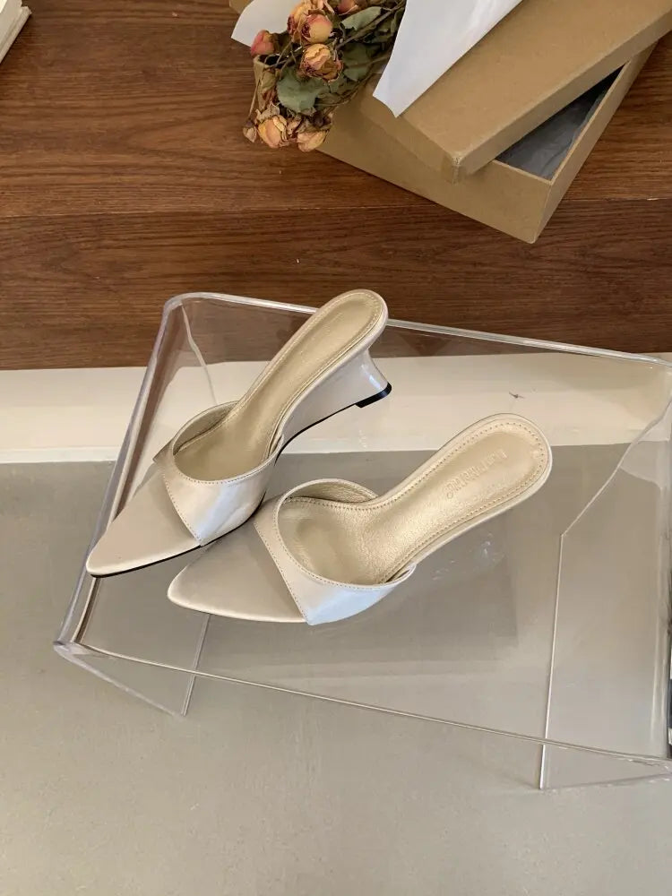 Women's Slippers Fashion 2026 Summer Elegant High Heels Outdoor Banquet Wedge Heel Pointed Toe Girls Women's Shoes 2018    Your Coastal Marketplace | Shoreshopper.com