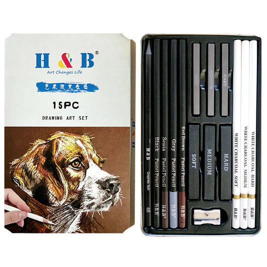 15PCS/Set Art Supplies Drawing Kit White Charcoal and Pastel Pencils Set Painting Tools Professional Drawing Kit    Home Decor Supply | Online Retail | ShoreShopper.com