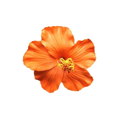 Headwear Hawaiian Flower Hair Clips Side Bangs Clip Hair Accessories Artificial Flower Clips Suitable Vacation Beach Parties    Your Coastal Marketplace | Shoreshopper.com