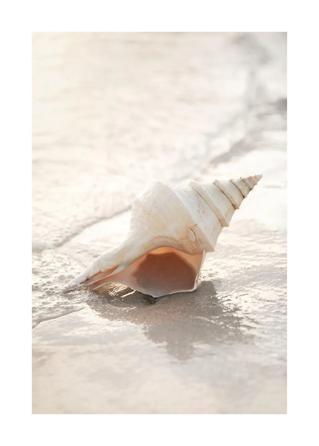 Tropical Blue Sea White Sand Beach Conch Lighthouse Wall Art Home Decoration Nordic Posters And Prints Canvas Painting Picture    Your Coastal Marketplace | Shoreshopper.com