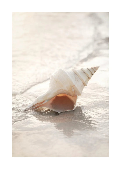 Tropical Blue Sea White Sand Beach Conch Lighthouse Wall Art Home Decoration Nordic Posters And Prints Canvas Painting Picture    Your Coastal Marketplace | Shoreshopper.com
