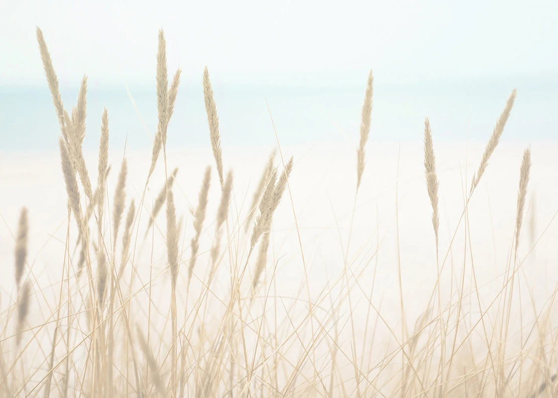 Beach Print Large Ocean Sea Grass Poster Coastal Bedroom Boho Room Decor Minimalist Landscape Printable Pictures Canvas Wall Art    Your Coastal Marketplace | Shoreshopper.com