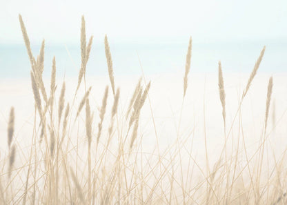 Beach Print Large Ocean Sea Grass Poster Coastal Bedroom Boho Room Decor Minimalist Landscape Printable Pictures Canvas Wall Art    Your Coastal Marketplace | Shoreshopper.com