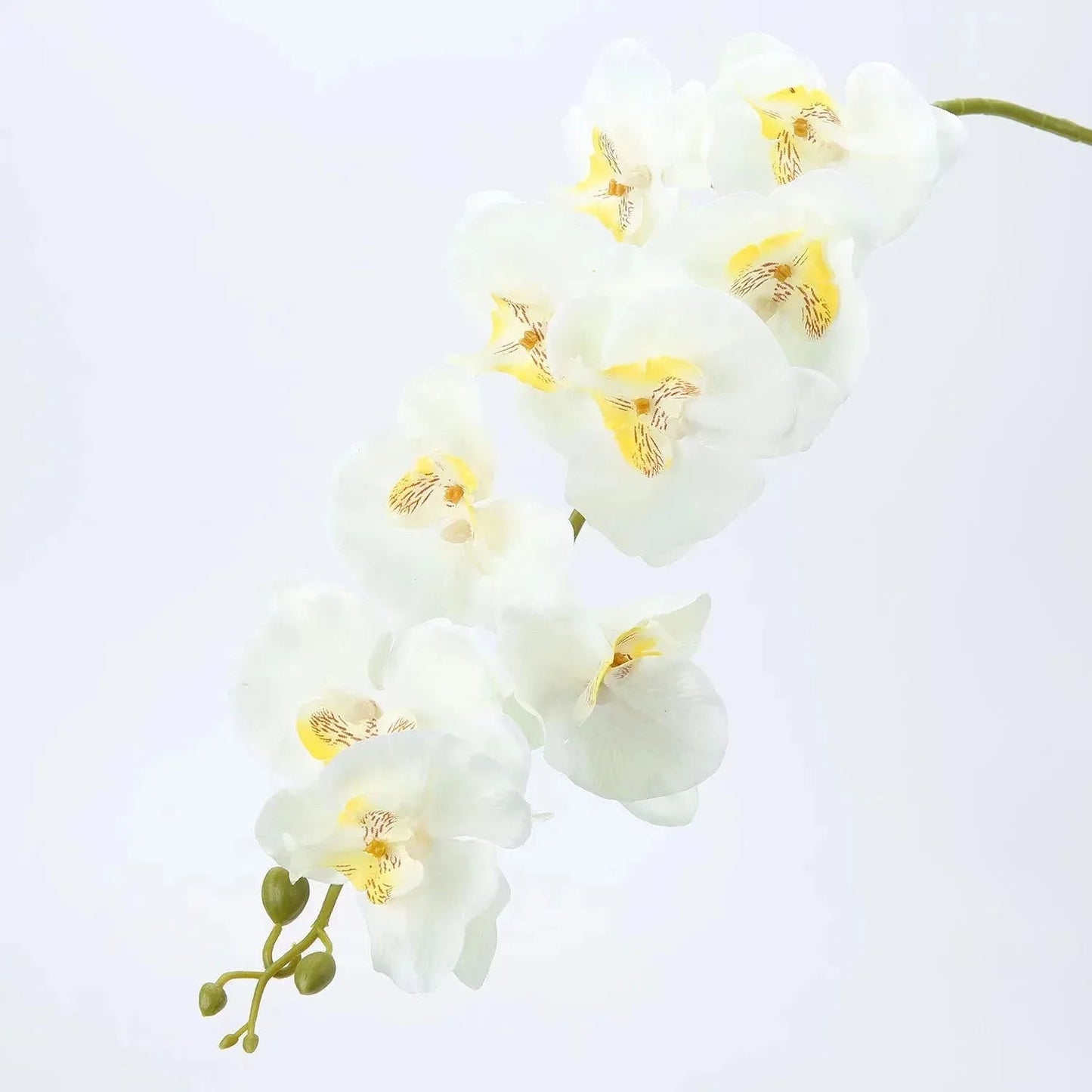 1Pcs Butterfly Orchid Artificial Flowers Orchid Phalaenopsis Fake Flowers Party Home Decor Garden Wedding Decoration Accessories    Home Decor Supply | Online Retail | ShoreShopper.com