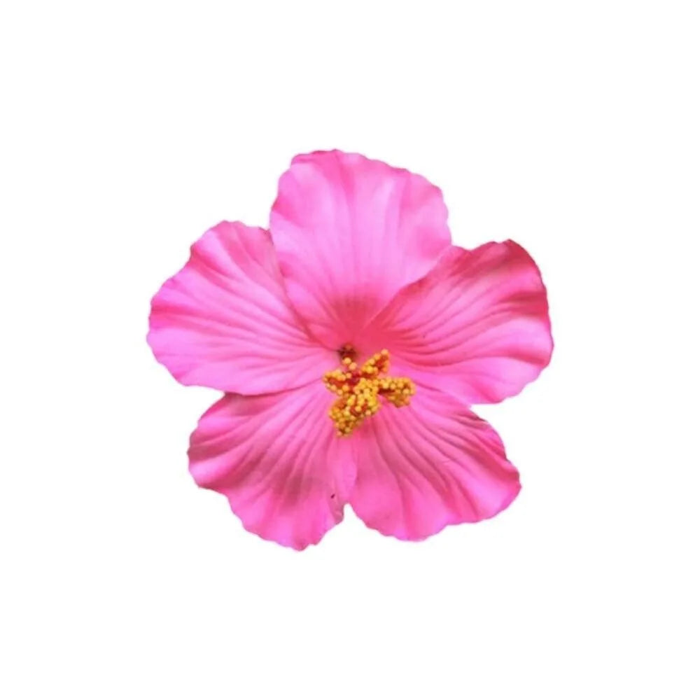 Headwear Hawaiian Flower Hair Clips Side Bangs Clip Hair Accessories Artificial Flower Clips Suitable Vacation Beach Parties    Your Coastal Marketplace | Shoreshopper.com