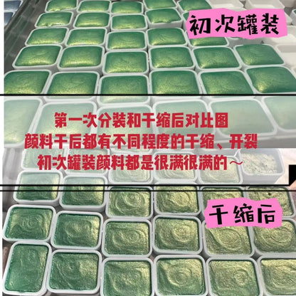 Master Grade 16 Colors Pearlescent Solid Watercolor Paint Mineral Nail Art Flower Painting Dyeing Tool Thangka ES    Home Decor Supply | Online Retail | ShoreShopper.com