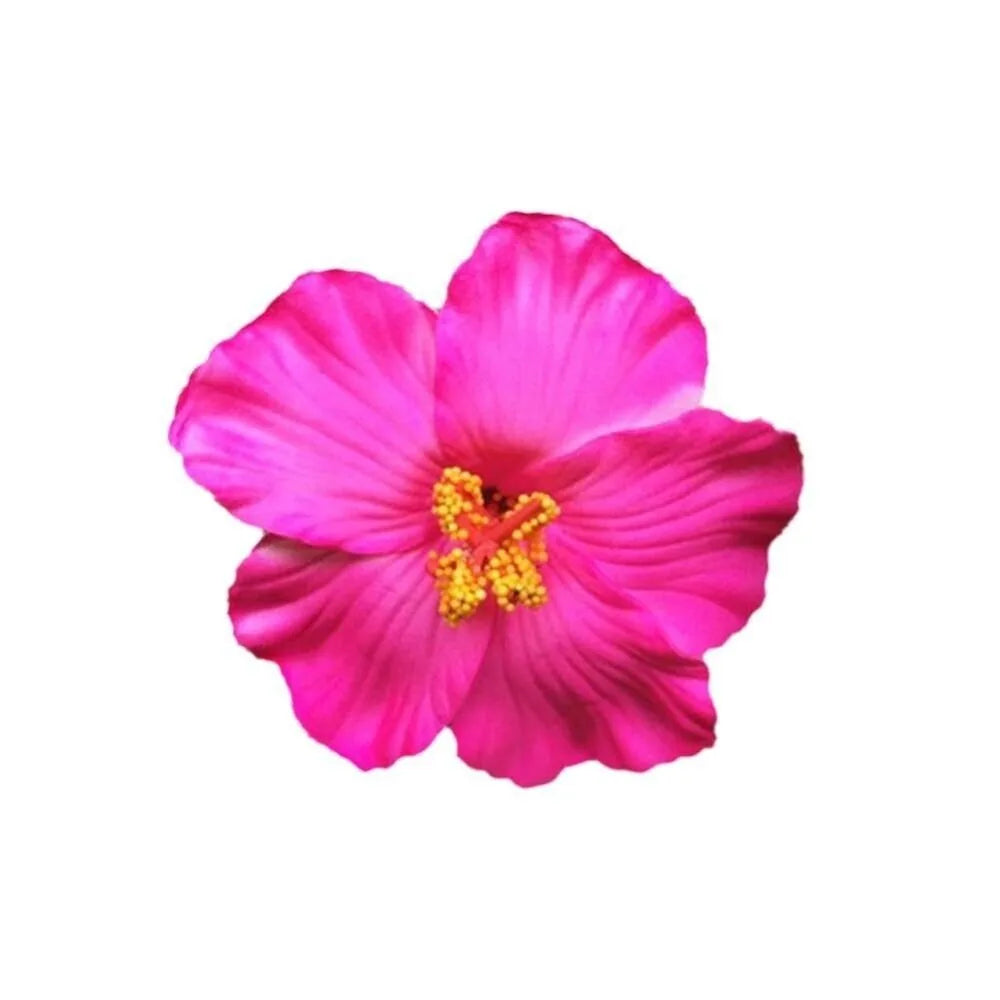 Headwear Hawaiian Flower Hair Clips Side Bangs Clip Hair Accessories Artificial Flower Clips Suitable Vacation Beach Parties    Your Coastal Marketplace | Shoreshopper.com
