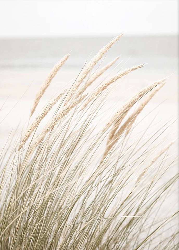 Beach Print Large Ocean Sea Grass Poster Coastal Bedroom Boho Room Decor Minimalist Landscape Printable Pictures Canvas Wall Art    Your Coastal Marketplace | Shoreshopper.com