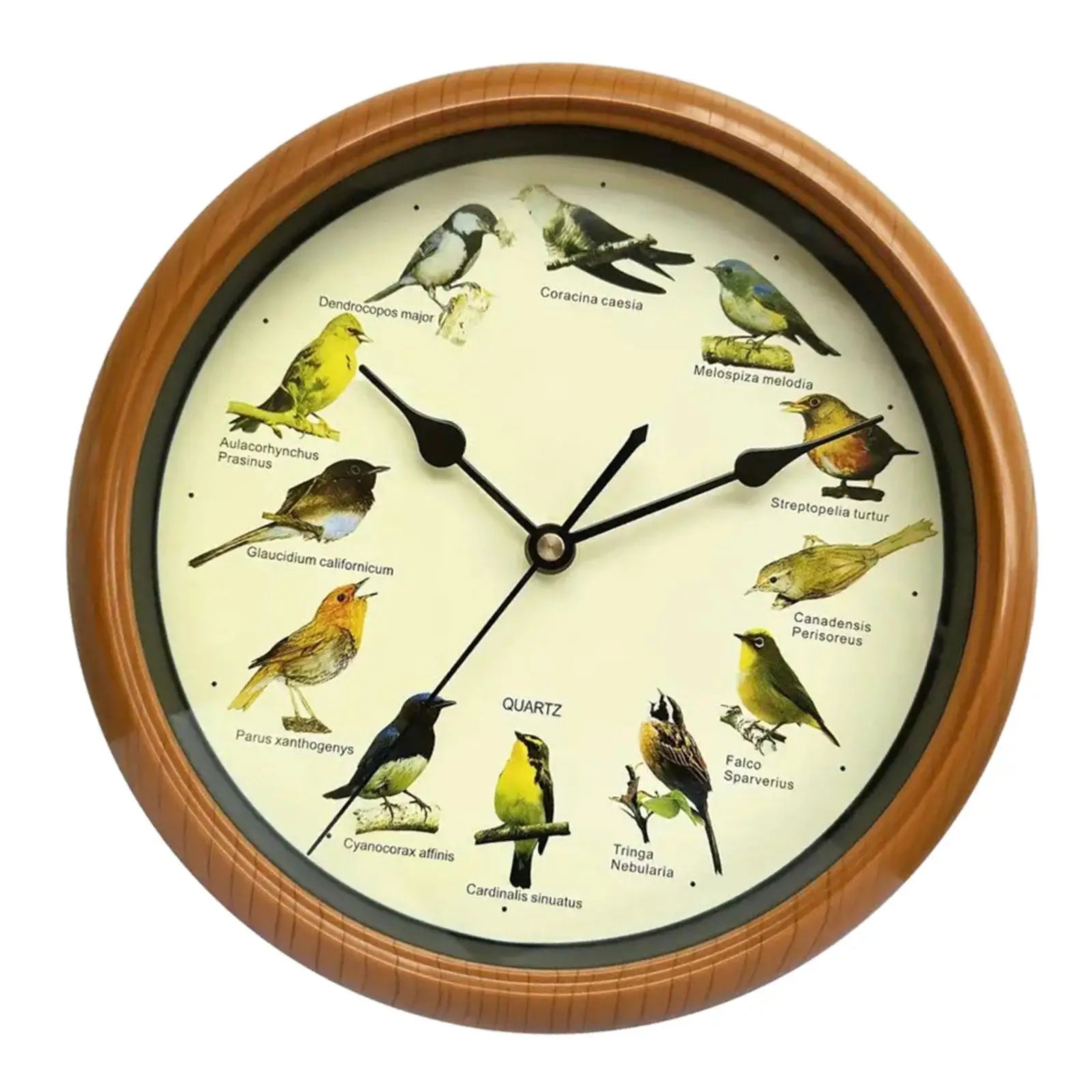 Wall Hanging Clock Decor Singing Bird Wall Clock Bird Clock With Sound Hanging Clock Decor for Kitchen Walls Shelf Decoration    Home Decor Supply | Online Retail | ShoreShopper.com