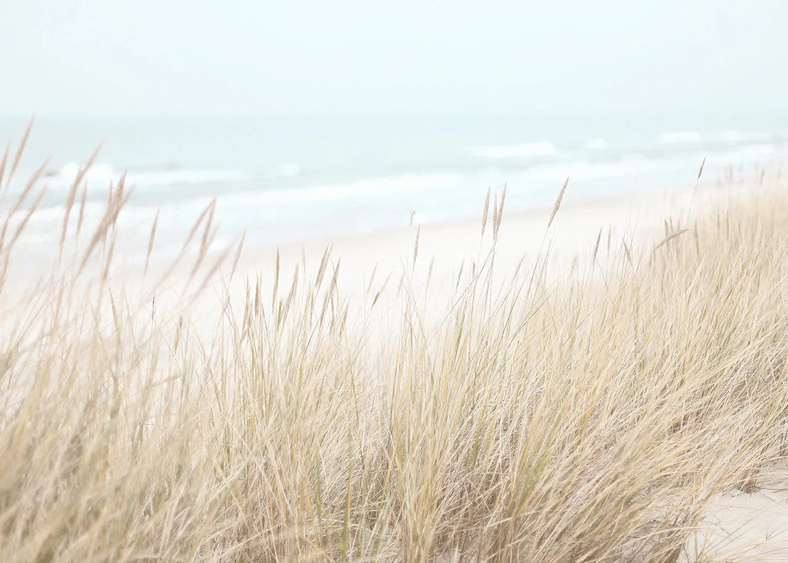 Beach Print Large Ocean Sea Grass Poster Coastal Bedroom Boho Room Decor Minimalist Landscape Printable Pictures Canvas Wall Art    Your Coastal Marketplace | Shoreshopper.com