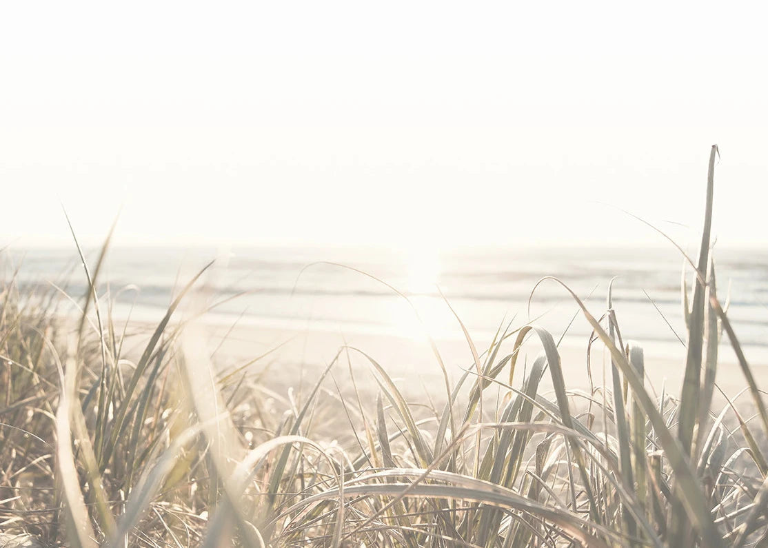 Beach Print Large Ocean Sea Grass Poster Coastal Bedroom Boho Room Decor Minimalist Landscape Printable Pictures Canvas Wall Art    Your Coastal Marketplace | Shoreshopper.com
