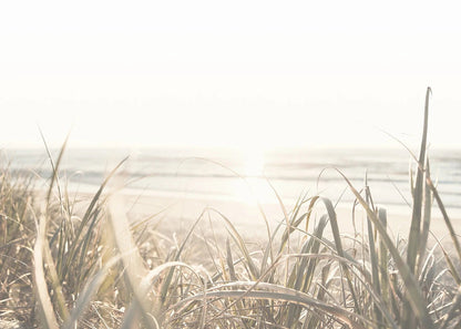 Beach Print Large Ocean Sea Grass Poster Coastal Bedroom Boho Room Decor Minimalist Landscape Printable Pictures Canvas Wall Art    Your Coastal Marketplace | Shoreshopper.com