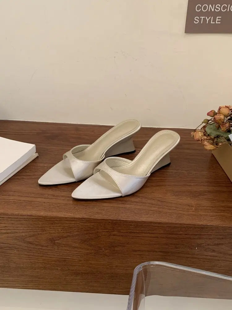 Women's Slippers Fashion 2026 Summer Elegant High Heels Outdoor Banquet Wedge Heel Pointed Toe Girls Women's Shoes 2018    Your Coastal Marketplace | Shoreshopper.com