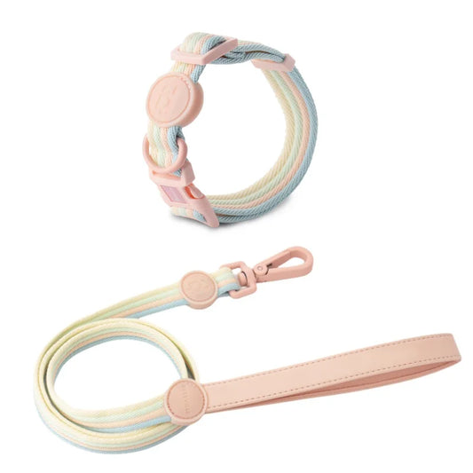 Durable Dog Collar Leash Set Adjustable Pet Collar For Small Medium Dogs Fashionable Dog Collar and Leash Set Pet supplies - ShoreCo.Shop