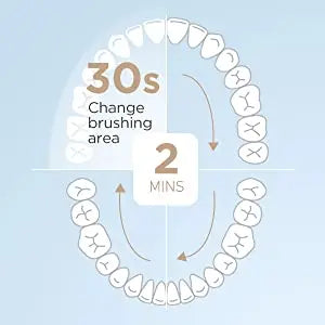 Fairywill Sonic Electric Toothbrush E11 Waterproof USB Charge Rechargeable Electric Toothbrush 8 Brush Replacement Heads Adult - ShoreCo.Shop