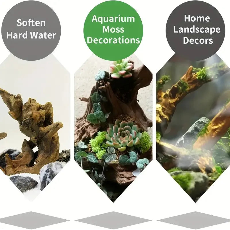10-15CM Natural Driftwood Aquarium Decor - Premium Wood Fish Tank Ornament, Authentic Wooden Landscape for Aquatic Environments    Your Coastal Marketplace | Shoreshopper.com
