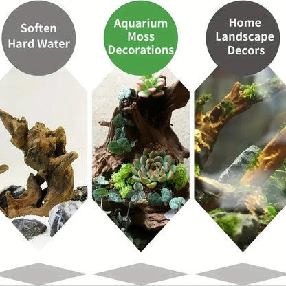 10-15CM Natural Driftwood Aquarium Decor - Premium Wood Fish Tank Ornament, Authentic Wooden Landscape for Aquatic Environments    Your Coastal Marketplace | Shoreshopper.com
