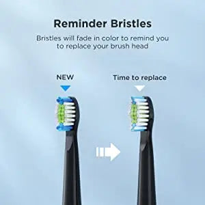 Fairywill Sonic Electric Toothbrush E11 Waterproof USB Charge Rechargeable Electric Toothbrush 8 Brush Replacement Heads Adult - ShoreCo.Shop
