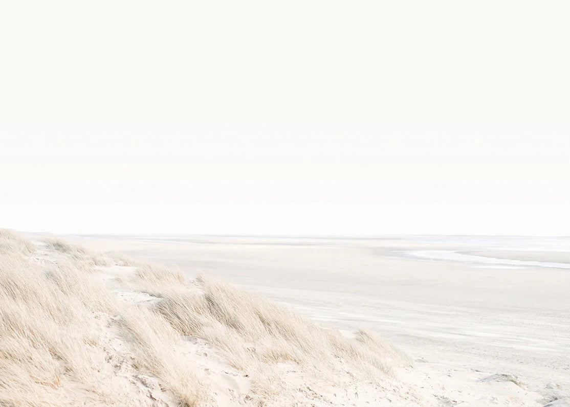 Beach Print Large Ocean Sea Grass Poster Coastal Bedroom Boho Room Decor Minimalist Landscape Printable Pictures Canvas Wall Art    Your Coastal Marketplace | Shoreshopper.com