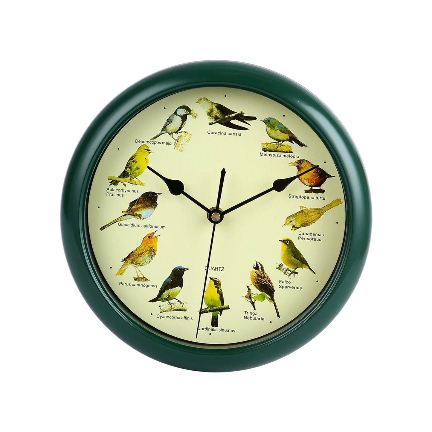 Wall Hanging Clock Decor Singing Bird Wall Clock Bird Clock With Sound Hanging Clock Decor for Kitchen Walls Shelf Decoration    Home Decor Supply | Online Retail | ShoreShopper.com