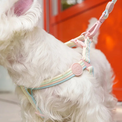 Durable Dog Collar Leash Set Adjustable Pet Collar For Small Medium Dogs Fashionable Dog Collar and Leash Set Pet supplies - ShoreCo.Shop