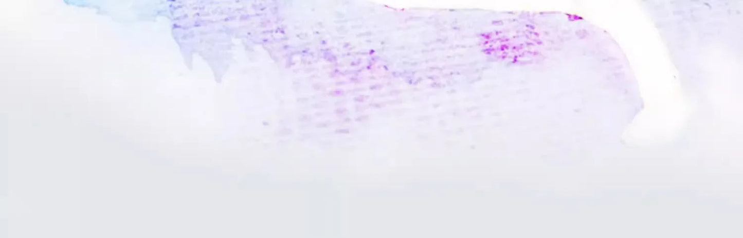 Art Masking Fluid White Latex Pigment Covering Liquid Painting Beginner Watercolor Paint Quickly for Ink Gouache Crafts Supplies    Home Decor Supply | Online Retail | ShoreShopper.com