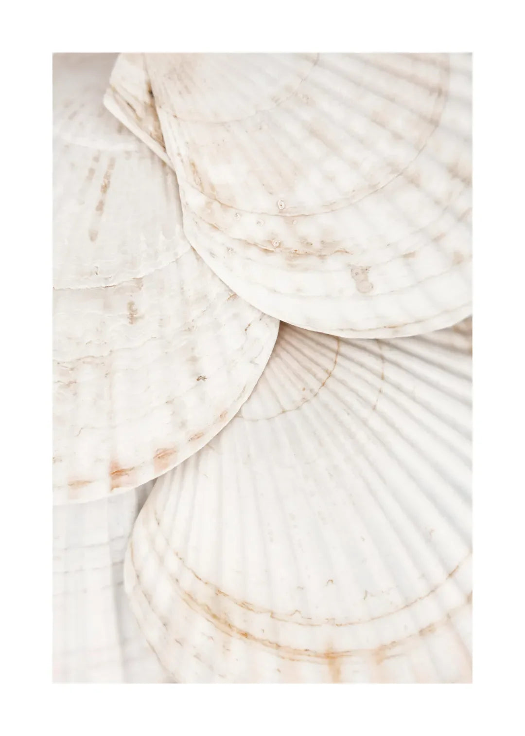 Tropical Blue Sea White Sand Beach Conch Lighthouse Wall Art Home Decoration Nordic Posters And Prints Canvas Painting Picture    Your Coastal Marketplace | Shoreshopper.com